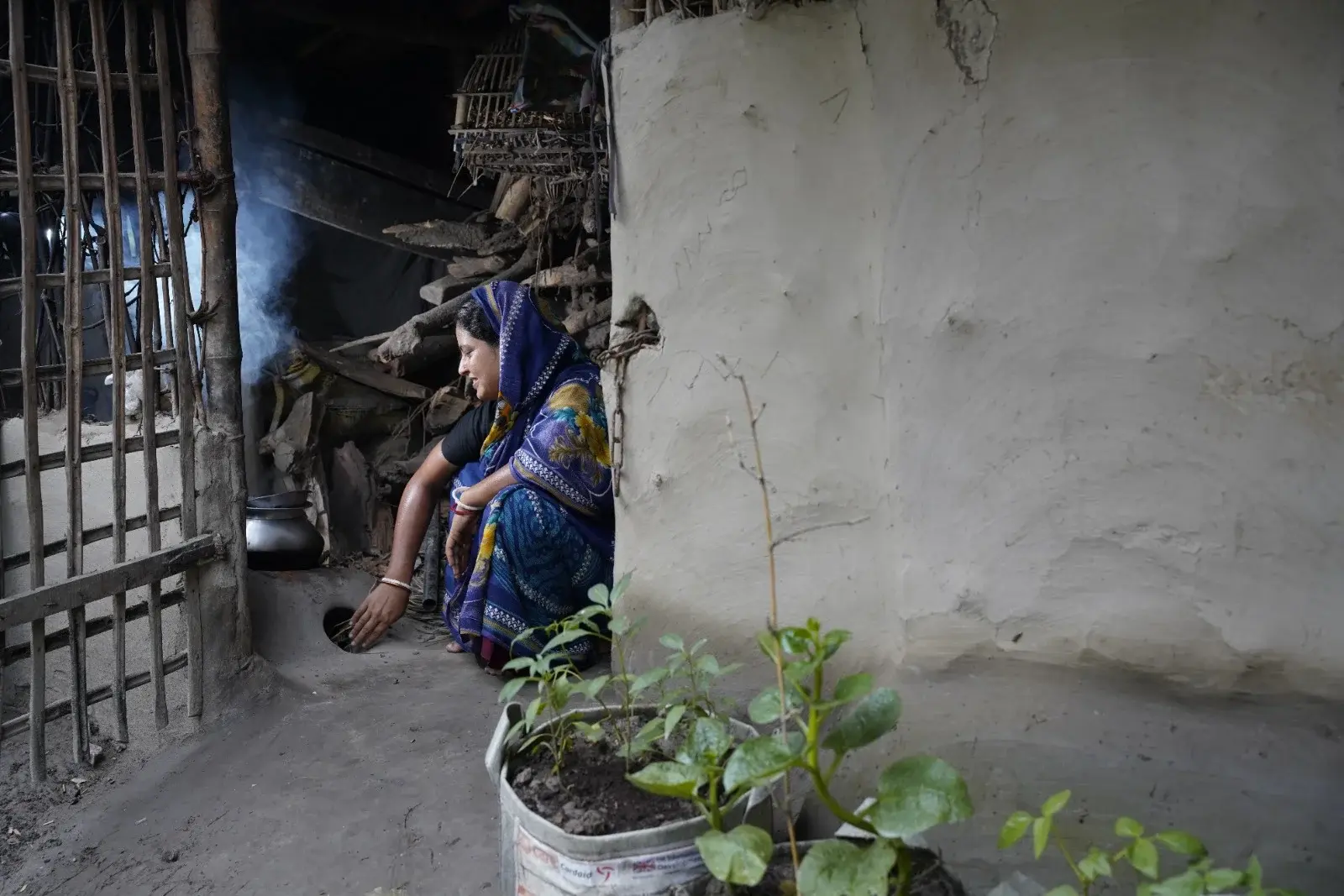 Voices of Resilience – ActionAid Bangladesh